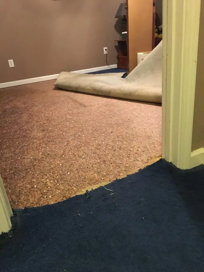 Carpet pad removal revealing water damage during Water Mitigation Services in Tiburon