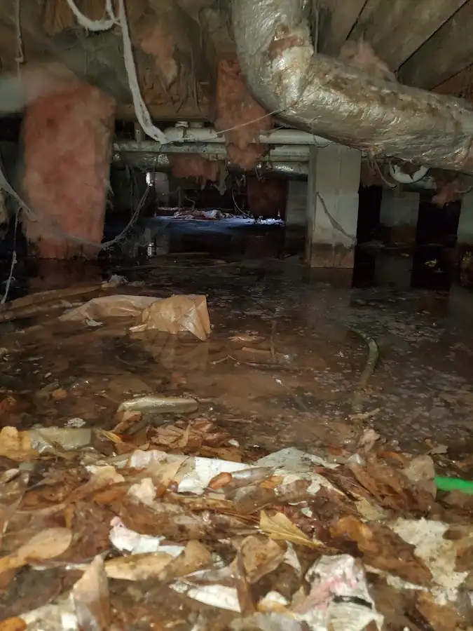 Crawl space flood assessment for Commercial Water Damage Restoration in Tiburon