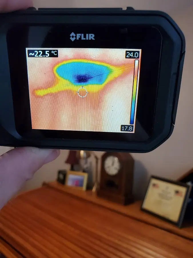 Thermal imaging inspection for water damage in Tiburon